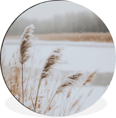 WallCircle - Wandcirkel - Muurcirkel - Riet - Meer - Winter - Natuur - Sneeuw - Beige - Aluminium - Dibond - 140x140 cm - Binnen en Buiten