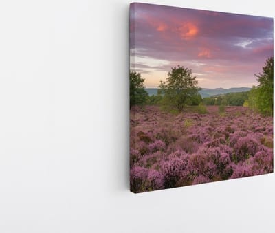 Saammp Canvas Schilderij - Groot lavendelveld - Landschap - Natuur - 20x20 - Foto op canvas - Wanddecoratie - Muurdecoratie Woonkamer - Slaapkamer decoratie - Canvas Print