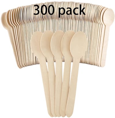 Dailygoods- Houten Lepel Set 300 Stuks - Natuurlijke Berken Houten Lepels - Wegwerp Lepels - 16 cm - Stevig en Glad Oppervlak
