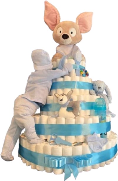 XXXL luiertaart met 435 pampers met Nici Fehmi junior Vos