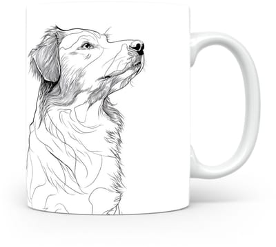 Beker Nova Scotia Duck Tolling Retriever