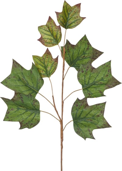 Easyplants | Kunsttak Eikenblad 84 cm groen | Zijde | Nepbloemen | groen | Onderhoudsvrij | Kant-en-klaar