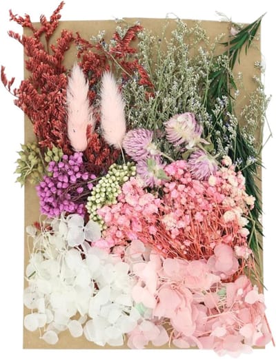 Inovra - Gedroogde bloemen, gedroogde bloemen decoratie, natuurlijke geperste bloemen, voor hars, DIY-knutselwerk, sieraden, kaarsen, nagelkunst, handwerk, scrapbooking en bloemdecoratie (roze)