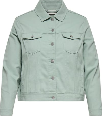 ONLY CARMAKOMA - CARTIA L/S COLORED JACKET CC PNT - Meisjes - Gewatteerde jassen