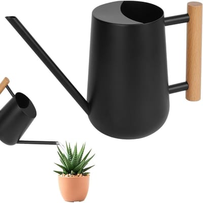 QTTVBTNA – Gieter - Planten waterkan - Binnentuingieter - Nauwkeurige Irrigatie - Lekvrij Design - Roestvrij Staal - Handgepolijst Oppervlak - Ergonomisch Houten Handvat - Zwart - 1 Stuk