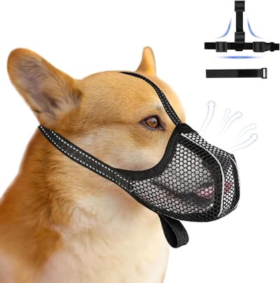 Honden Muilkorf - Hondenmand M Hondensnuit - Veiligheid Hond - Voorkomt Bijten - X-Large - Zwart