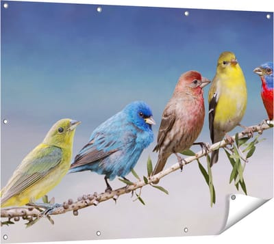 Gards Tuinposter Kleurrijke Zangvogels op een Tak - Kleur - 120x90 cm - Tuindoek - Tuindecoratie - Wanddecoratie buiten - Tuinschilderij