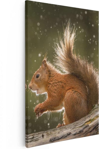 Artaza Canvas Schilderij Rode Eekhoorn - 20x30 cm - Klein - Wanddecoratie Boom - Muurdecoratie Dieren - Kamer Accessoires