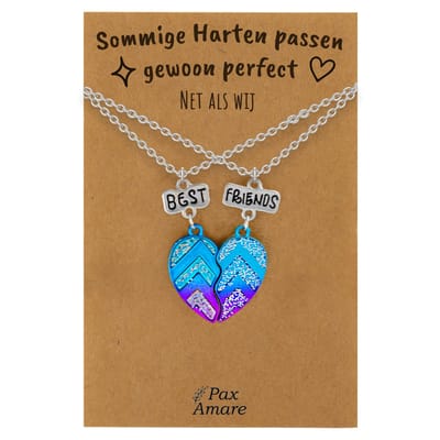 BFF Ketting voor 2 'Sommige harten passen perfect' - Magnetisch Best Friends Hartje - Vriendschapsketting op Cadeau Kaartje - 45cm + 5cm verstelbaar - Zilverkleurig - Best Friends Hanger - Pax Amare