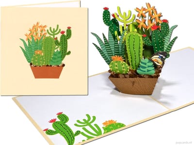 Popcards popupkaarten – Verjaardagskaart Bloeiende Cactussen en Vetplanten Vriendschap Verjaardag Felicitatie Beterschap pop-up kaart 3D wenskaart
