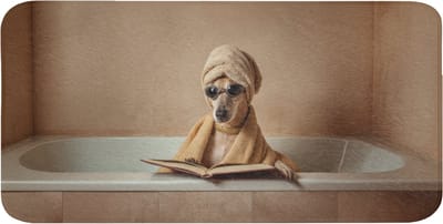 WC mat 120x60 cm - Antislip - Bad - Hond - Boek - Zonnebril - Toiletmat - Vloermat - Douchemat - Toilet tapijt - Toiletmatten