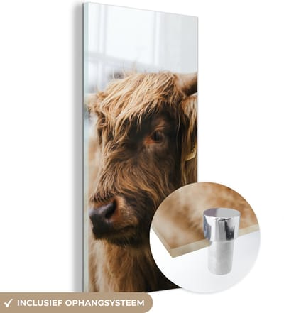 MuchoWow® Glasschilderij 20x40 cm - Schilderij acrylglas - Schotse Hooglander - Dieren - Horens - Foto op glas - Schilderijen