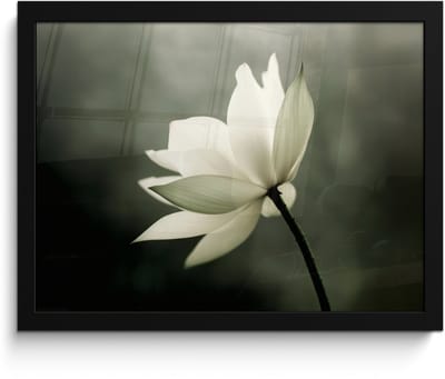 Poster in lijst - Fotolijst 40x30 cm - Posters - Wit - Lotus - Donker - Bloem - Posterlijst zwart - Decoratie - Wanddecoratie woonkamer - Muurdecoratie slaapkamer
