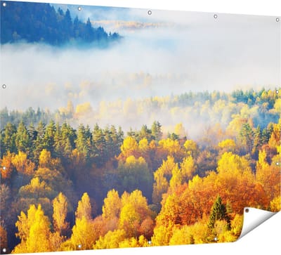 Gards Tuinposter Gekleurde Herfstbos met Mist - 160x120 cm - Tuindoek - Tuindecoratie - Wanddecoratie buiten - Tuinschilderij