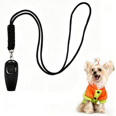 Hondenfluitje - 2-In-1 Ontwerp - Clicker - hoogfrequent fluitje - met Koord - Fluit Hoorbaar voor mensen - Dog flute & Lanyard - Terugroephonden - Zwart