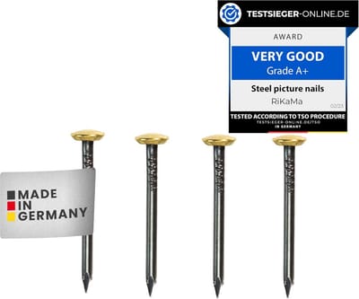 Stalen spijkers 25 mm - ideaal voor beton, baksteen, pleisterwerk en hout