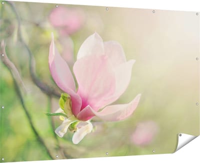 Gards Tuinposter Roze Magnolia Bloem - 180x120 cm - Tuindoek - Tuindecoratie - Wanddecoratie buiten - Tuinschilderij