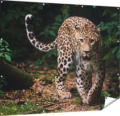 Gards Tuinposter Luipaard in het Bos - 150x120 cm - Tuindoek - Tuindecoratie - Wanddecoratie buiten - Tuinschilderij
