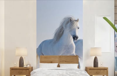 Behang - Fotobehang Winter - Paarden - Sneeuw - Breedte 120 cm x hoogte 240 cm