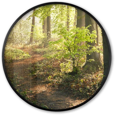 Poster in lijst Rond - Fotolijst 60x60 cm - Posters - Bos - Bomen - Pad - Zon - Planten - Bladeren - Natuur - Ronde posterlijst zwart - Decoratie - Wanddecoratie woonkamer - Muurdecoratie slaapkamer