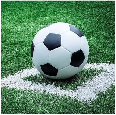 Ambiente Voetbal thema servetten - 40x - 33 x 33 cm - 3-laags papier - feestservetten - lunch servetjes