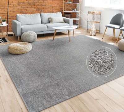 Paco Home Vloerkleed Woonkamer Effen Eenvoudig En Modern Laagpolig, Versch. Afmetingen Kleuren 240x340 cm