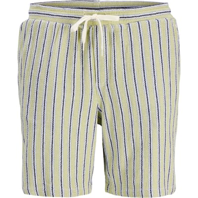 Jack & Jones Heren Short JPSTJAIDEN COBA STRIPE JOG SHORT comfort/relaxed Veelkleurig L Volwassenen