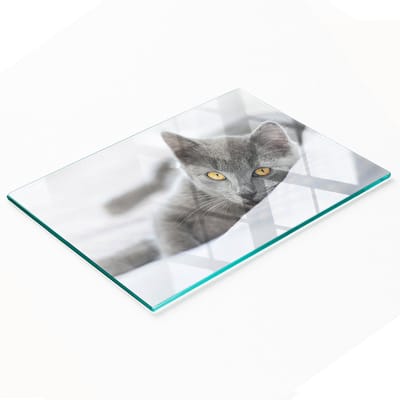 Gehard multifunctioneel decoratief bord van glas met grijze kat, 80x52 cm