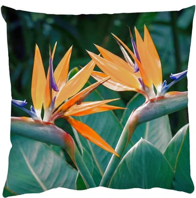 Sierkussens - Kussentjes Woonkamer - 50x50 cm - Paradijsvogel - Bloem - Exotisch