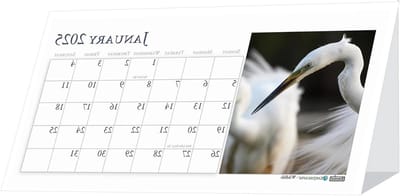 Maandelijkse Desktop Kalender - Bureaukalender Tentkalender - Dagelijkse Planning - Wildlife Afbeeldingen - 21.5 x 11.5 cm - Natuur