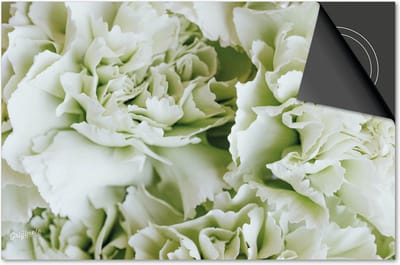 Inductie beschermer 60x60 - afdekplaat inductie mat - Dietrix Kookplaat beschermer - Exclusief - Flowers 13 - Pioen groen
