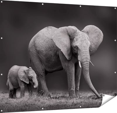 Gards Tuinposter Olifant Moeder en Zoon - Zwart Wit - 150x120 cm - Tuindoek - Tuindecoratie - Wanddecoratie buiten - Tuinschilderij
