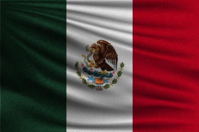 New Age Devi - Mexico Vlag - Mexicaanse - 90 / 150 CM