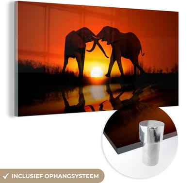 MuchoWow® Glasschilderij 40x20 cm - Schilderij acrylglas - Olifanten koppel bij zonsondergang - Foto op glas - Schilderijen