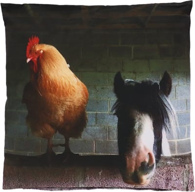 Buitenkussen boerderij kip & paard L 50 cm x 50 cm - tuinkussen - buitenkussen - outdoorkussen - waterafstotend - boerderijprint - cadeau - geschenk - Nieuwjaar - Kerst - verjaardag