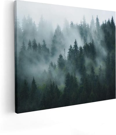 Artaza Canvas Schilderij Bos - 100x80 cm - Groot - Wanddecoratie Mistig Landschap - Muurdecoratie Bergen - Schilderijen Op Canvas Natuur