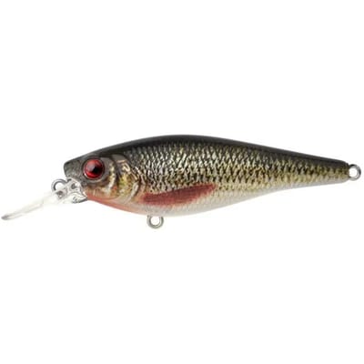 Lok Spro Ikiru Shad 70LL