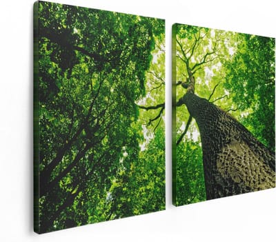 Artaza Canvas Schilderij Tweeluik Boom In Het Bos Met Fel Groene Bladeren - 120x80 - Foto Op Canvas - Canvas Print