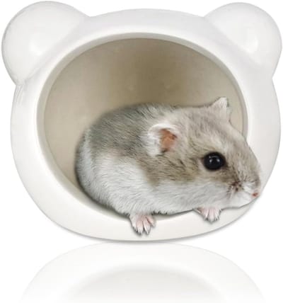 Schattig keramisch hamsternest, half gesloten schuilplaats voor dwerghamsters en Syrische hamsters, ideaal voor koele zomerdagen en knaagdiercomfort
