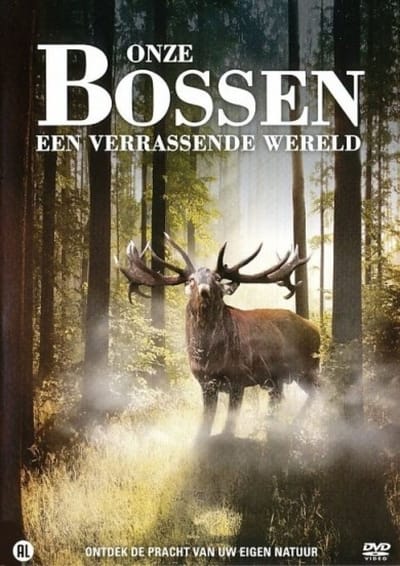 Onze Bossen