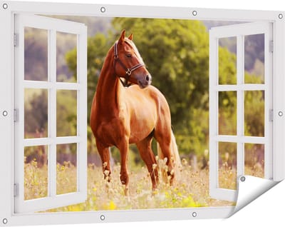 Gards Tuinposter Doorkijk Bruin Paard in de Wei - 120x80 cm - Tuindoek - Tuindecoratie - Wanddecoratie buiten - Tuinschilderij