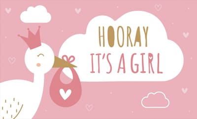 LUQ – Gevelvlag Hooray Girl – 150x90cm – XXL Polyester Vlag – Feestdecor Binnen & Buiten Versiering – Direct Ophangen