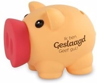 Spaarvarken Diploma geslaagd thema - 10 x 9 cm - kunststof - cadeau - afgestudeerd - school - rijbewijs