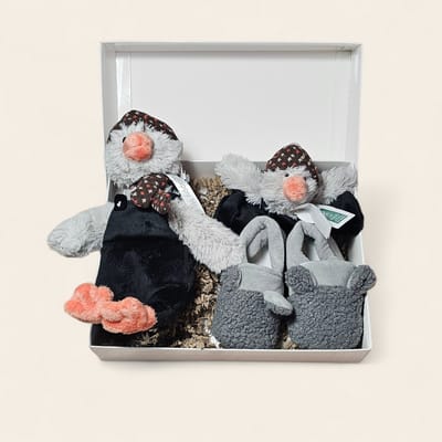 Luxe kraamcadeau – met Pinguïn Polar knuffel, Tuttle en Apollo slofjes