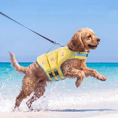 Waterdicht Hondenzwemvest Ademend Verstelbaar Huisdier Reddingsvest Hoge Drijfkracht Dikke Schuimrubber Pad Puppy Veiligheidsvesten Zwemmen (Yellow,XS) geel