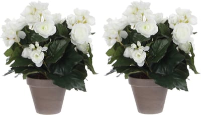 Mica Decoration Kunstplant - 2x stuks - begonia - wit - in pot - 30 cm - nepplanten