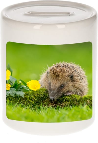 Dieren egel foto spaarpot 9 cm jongens en meisjes - Cadeau spaarpotten egels liefhebber