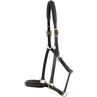 Met leer bekleed paardenhalster Premier Equine