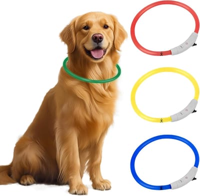 Led-Lichthalsband Honden - Oplaadbaar - Oplichtend - Waterdicht - 3 Verlichtingsmodi - Instelbare Lengte - Rood Geel Groen Blauw - Geschikt Hondenhalsband - Veiligheid Nachtwandeling - Hondenverlichting