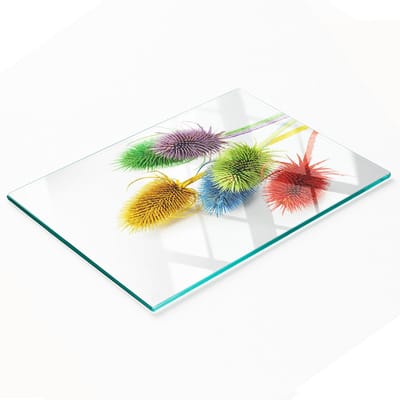 Decoratieve glazen serveerplank met afbeelding van een distel, 80x52 cm, voor het serveren van snacks